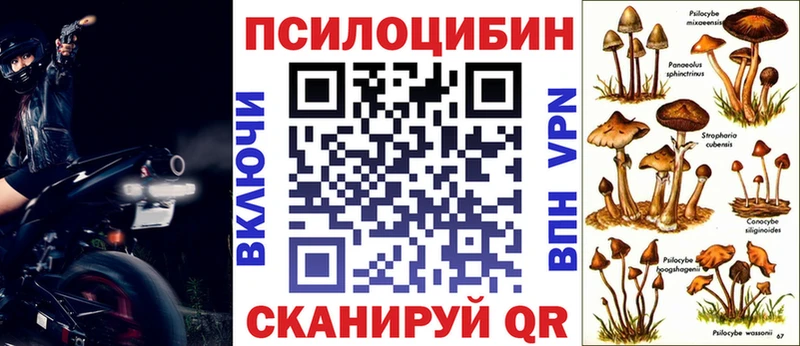 Галлюциногенные грибы Psilocybe  Архангельск 
