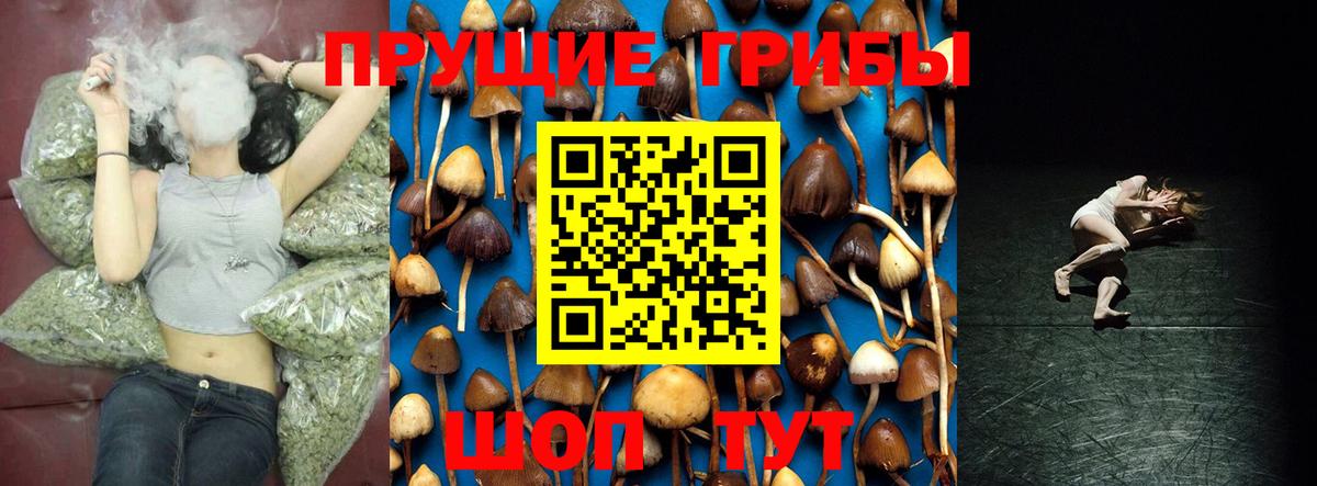 Галлюциногенные грибы Cubensis Архангельск
