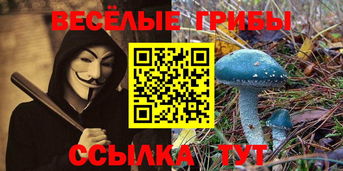 Галлюциногенные грибы Cubensis  Галлюциногенные грибы GOLDEN TEACHER  Вход с VPN  Архангельск 